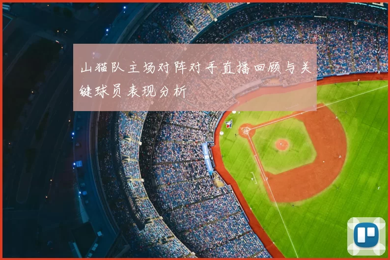 山猫队主场对阵对手直播回顾与关键球员表现分析