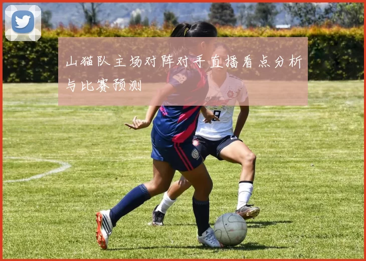 山猫队主场对阵对手直播看点分析与比赛预测