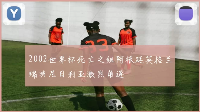2002世界杯死亡之组阿根廷英格兰瑞典尼日利亚激烈角逐