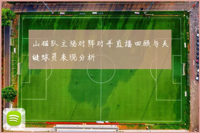 山猫队主场对阵对手直播回顾与关键球员表现分析